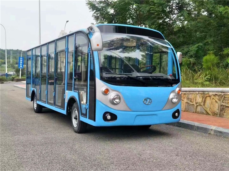 燃油觀光車實(shí)拍 燃油觀光車實(shí)拍